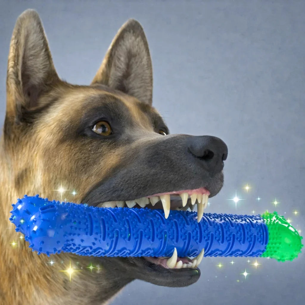 2 In 1 Chew Toy And Dental Care Stick