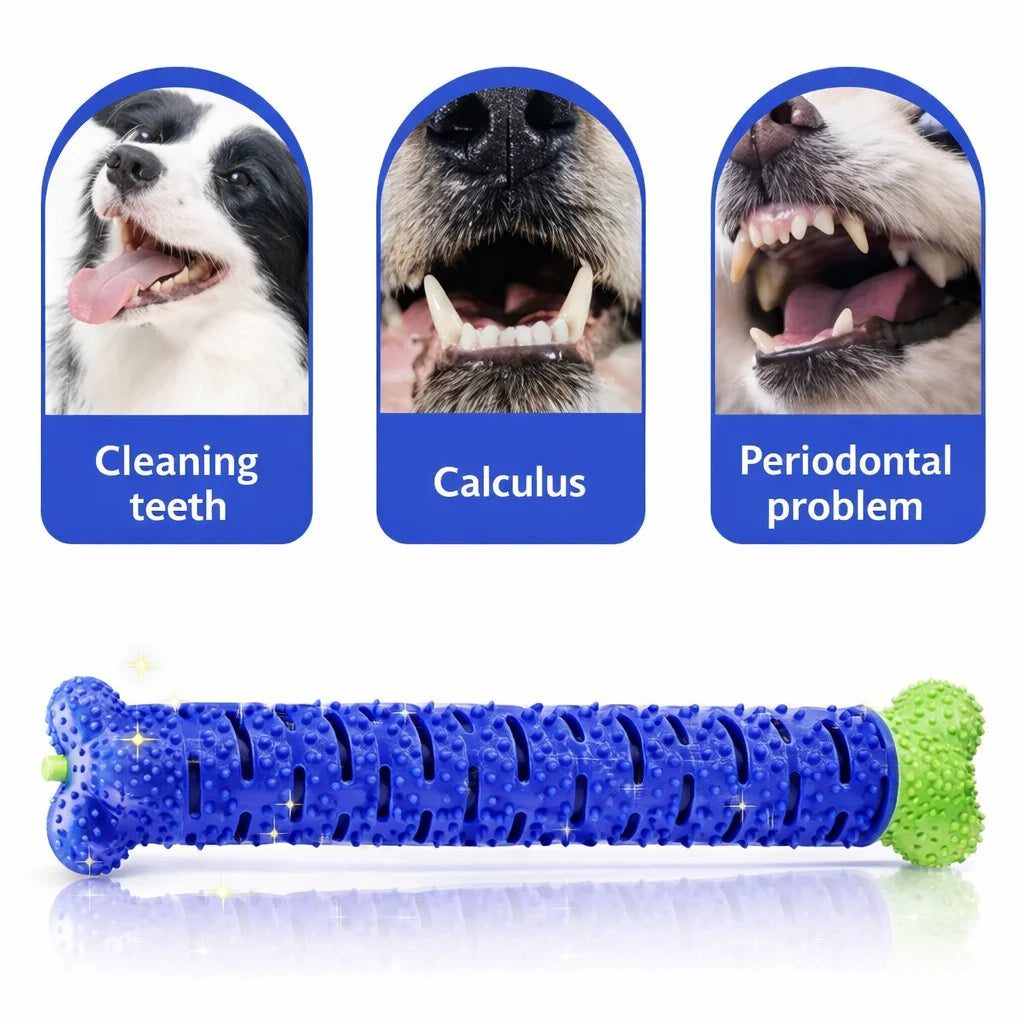 2 In 1 Chew Toy And Dental Care Stick